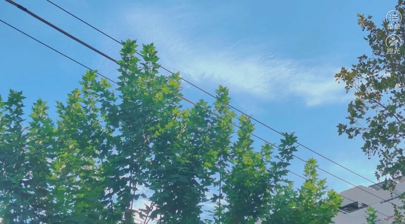 你是女巫吗(3)