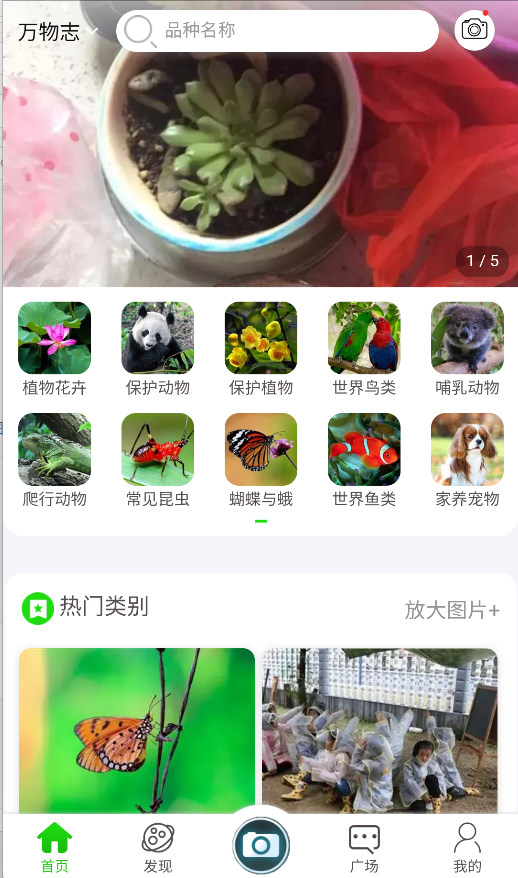 万物识别(1)