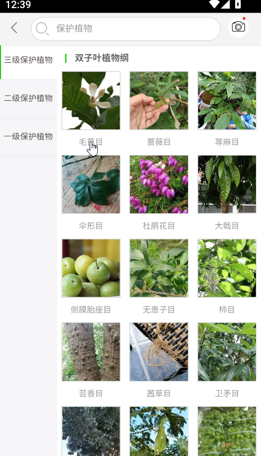 万物识别(3)