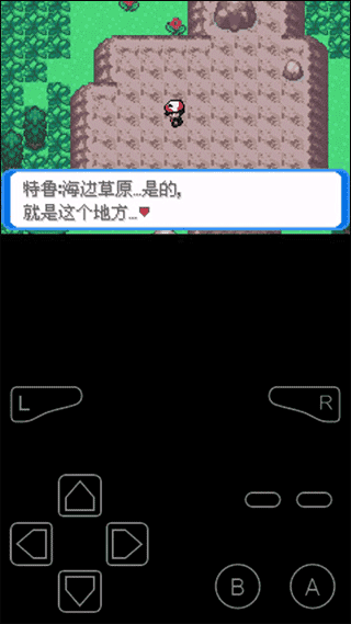 口袋妖怪决心(1)