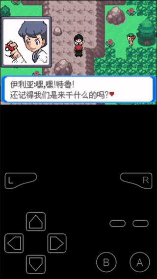 口袋妖怪决心(3)