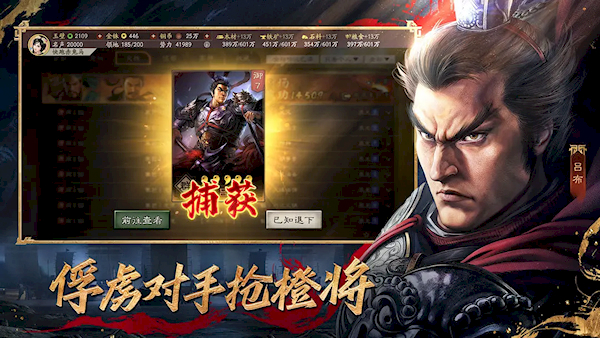 三国志·战略版(5)