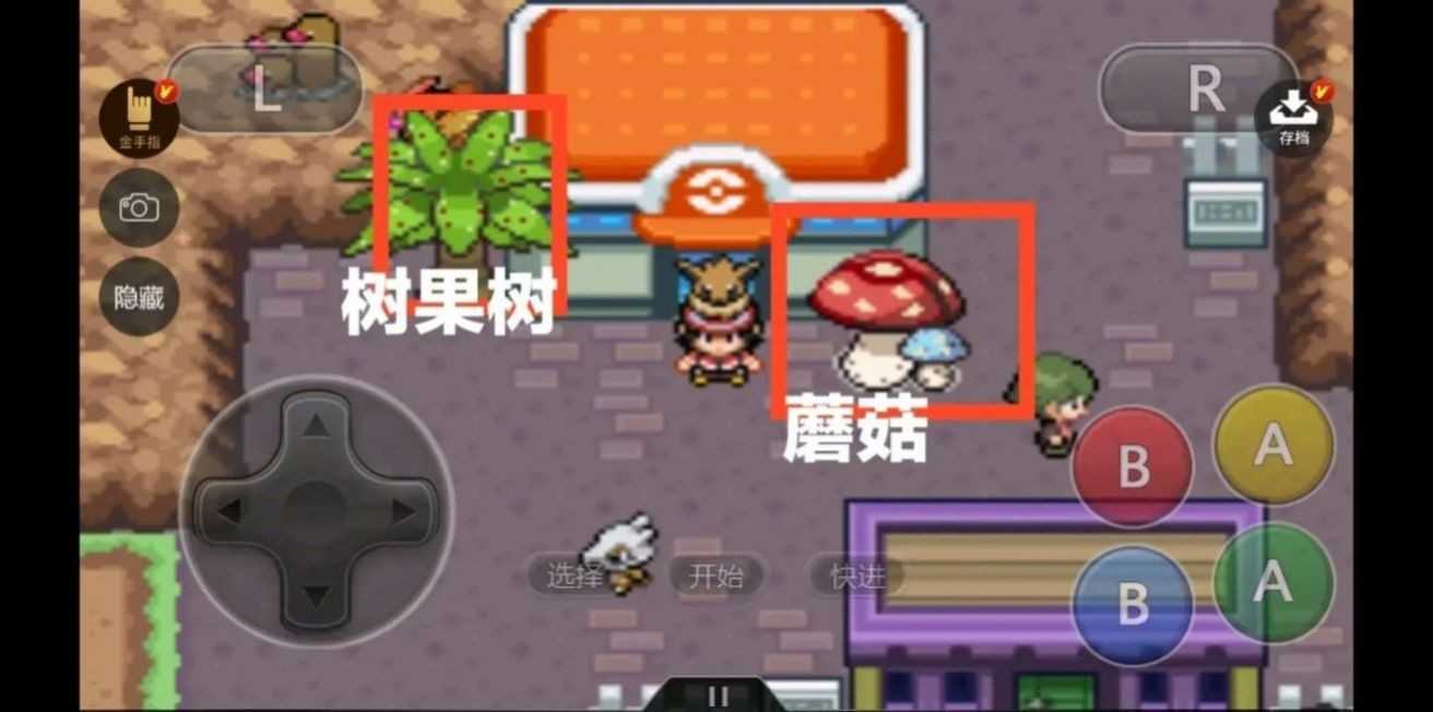 口袋妖怪邪钻(3)