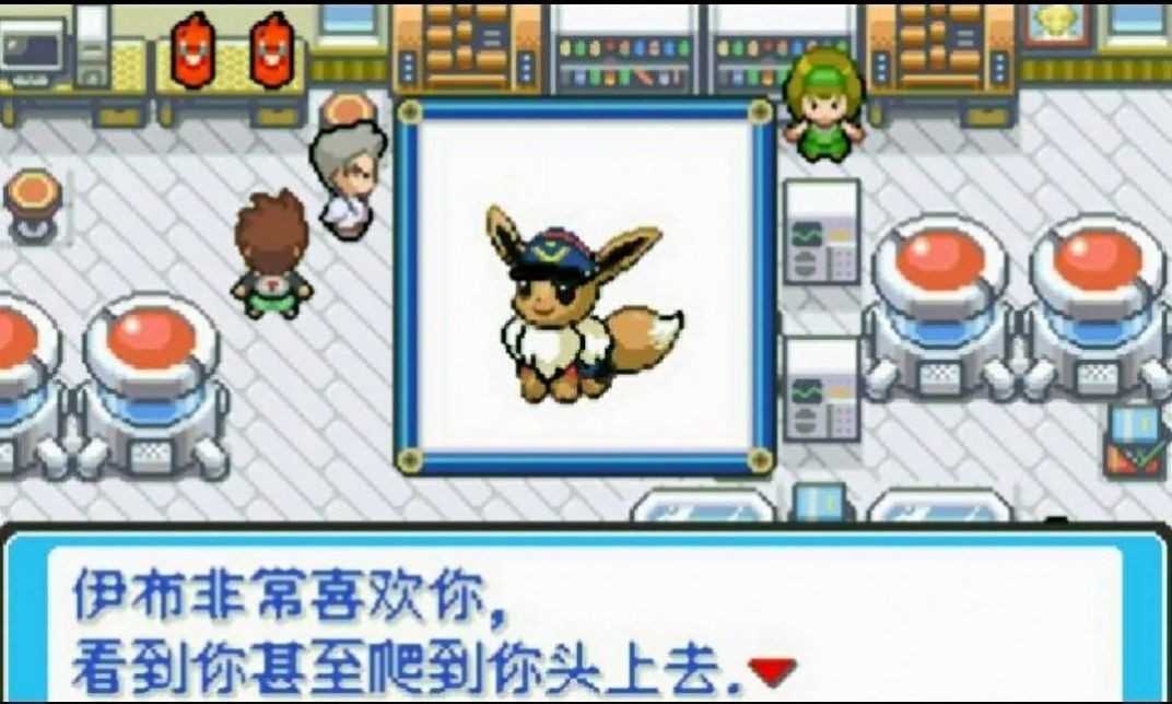 口袋妖怪邪钻(2)