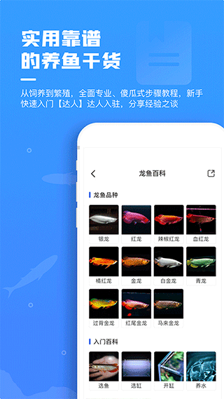 鲲天下(3)