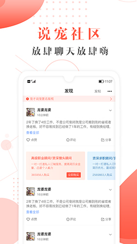 宠才宝(4)