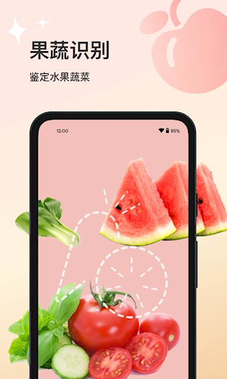 花卉识别(2)