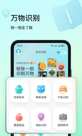 花卉识别(1)
