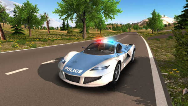 警车驶离公路(4)