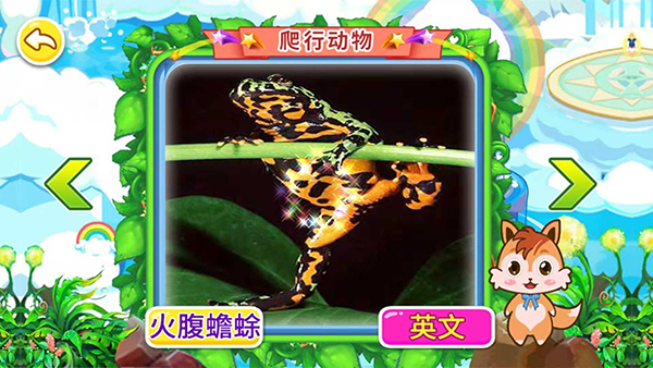 宝宝儿童动物世界(4)