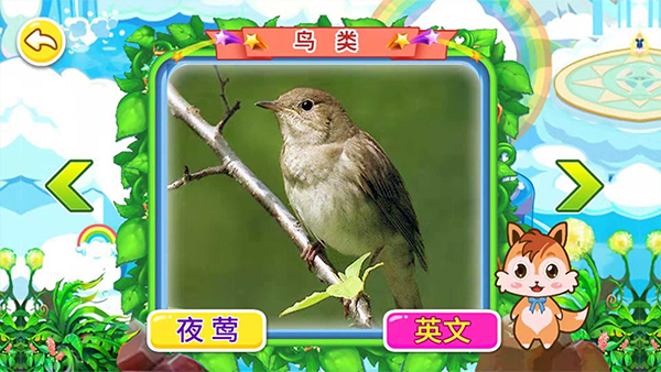 宝宝儿童动物世界(2)