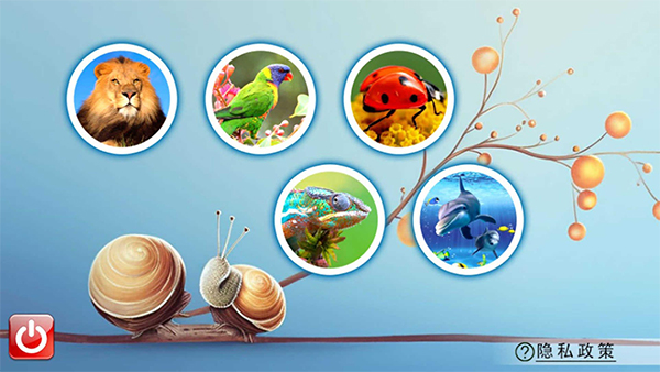 宝宝儿童动物世界(3)