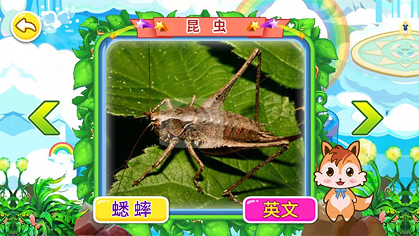 宝宝儿童动物世界(1)