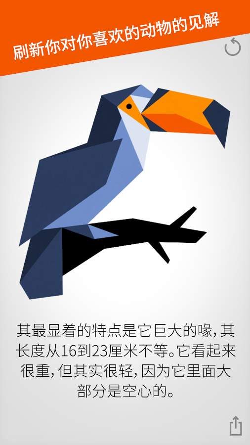 動物拼圖(1)