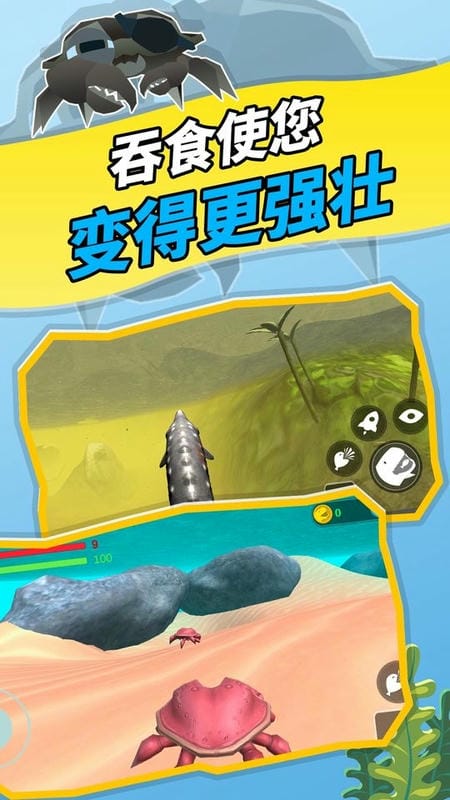 神秘海域(3)