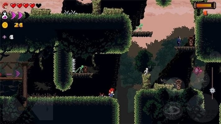 齐戈里的诅咒(1)