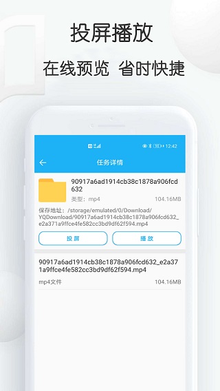 云雀idm网页视频下载器(1)
