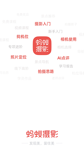 螞蟻攝影(1)