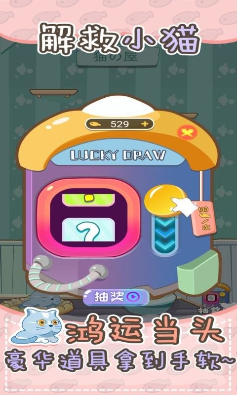 解救小貓(1)