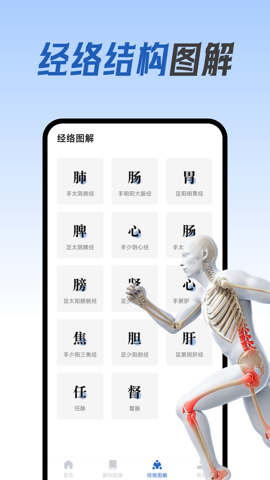 人體解剖圖集(1)