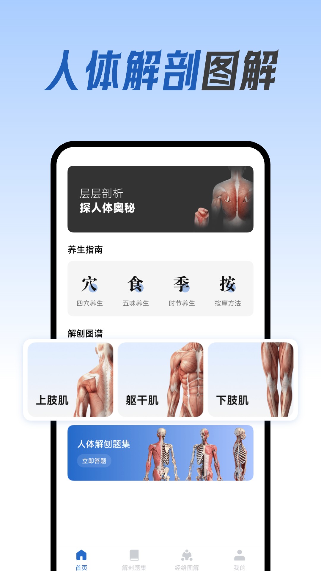 人體解剖圖集(2)