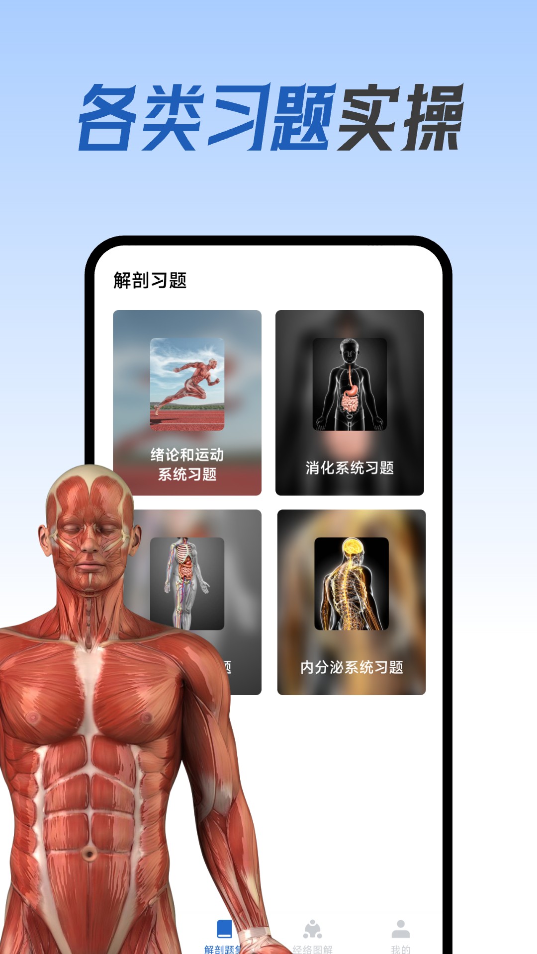 人體解剖圖集(4)