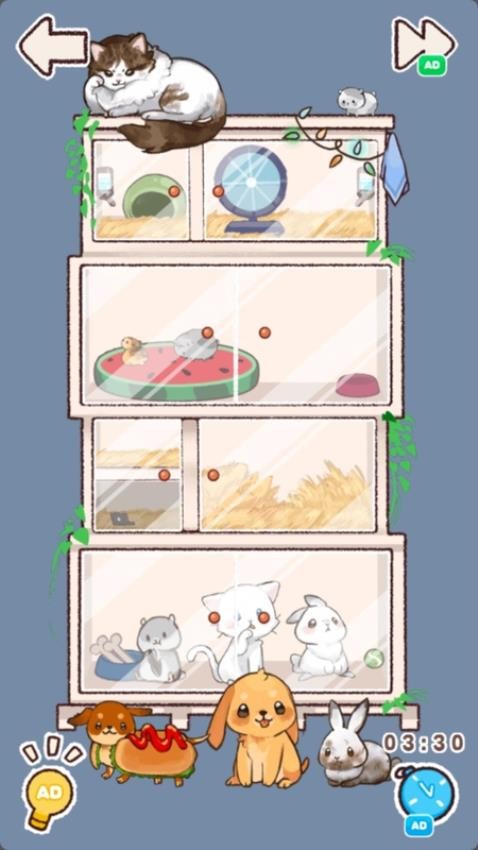 小屋收纳物语(2)
