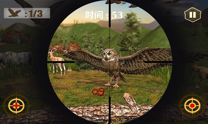 3d猫头鹰狩猎模拟(3)