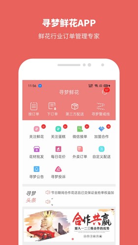 寻梦鲜花(5)