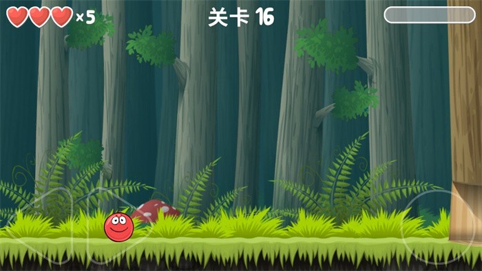 红球4(1)