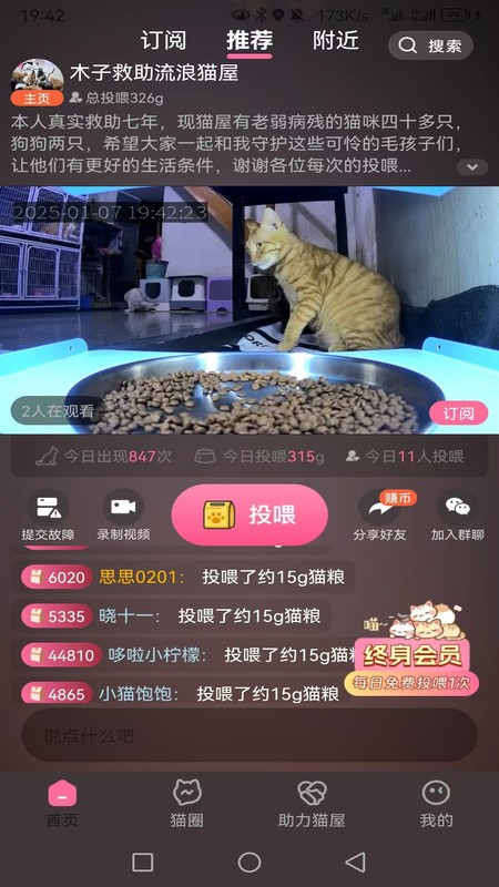 途猫(3)