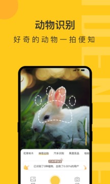 智能扫一扫智慧识物(2)