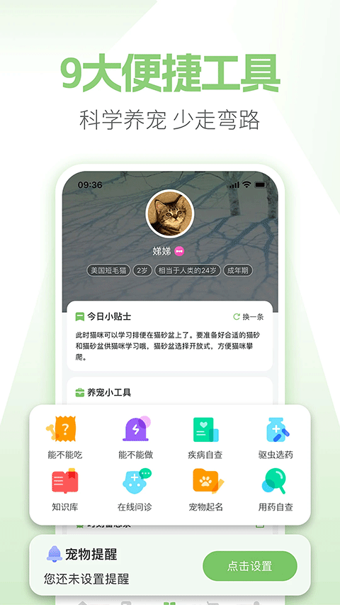 E宠商城(2)