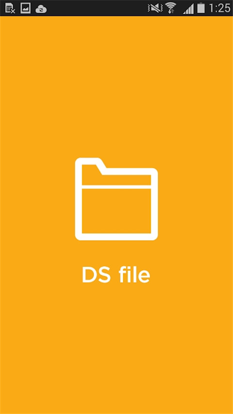 DS file(2)