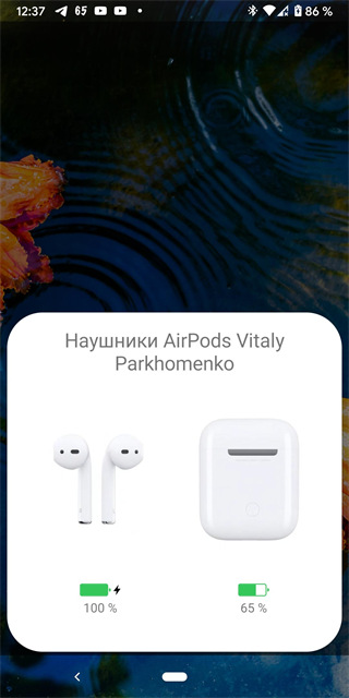 andropods(2)