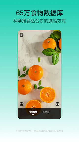 LEFU热量减肥法(5)