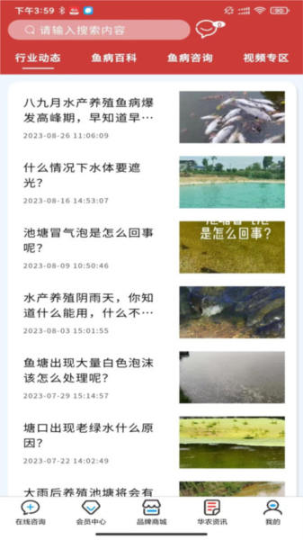 华农动康(1)