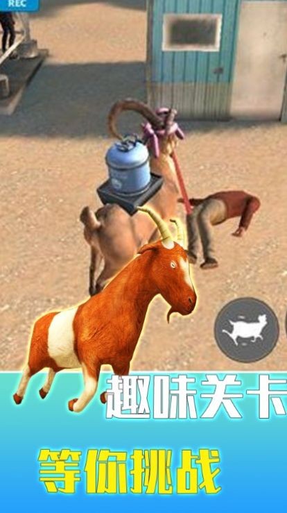 疯狂动物调查局(2)