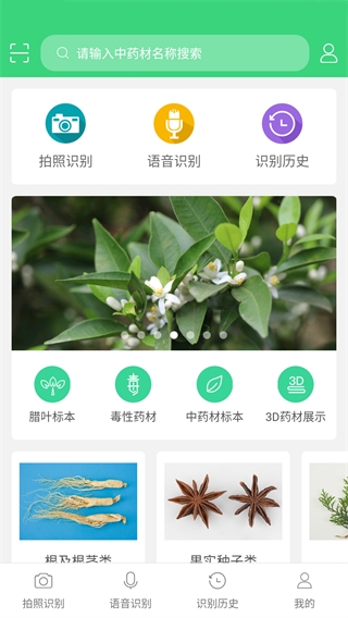 照药镜(2)