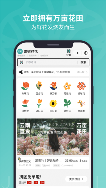 唯树鲜花(1)