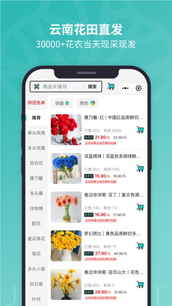唯树鲜花(3)