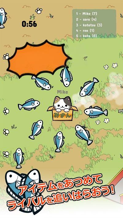 公园里的野猫(3)