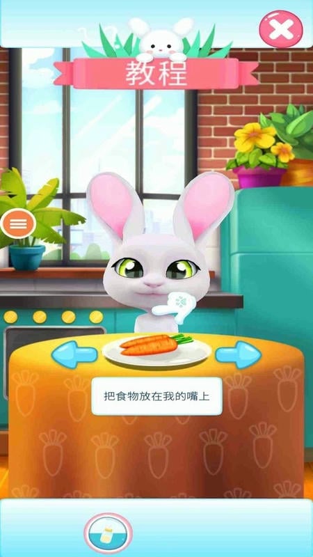兔子真是太可爱了(2)