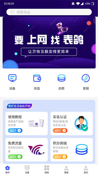 表鸽(2)