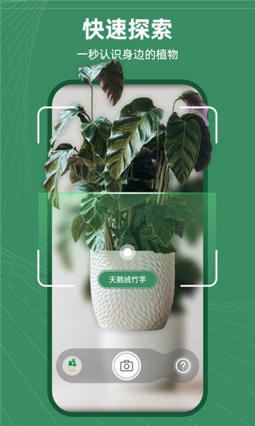 花草志(2)