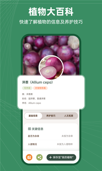 花草志(3)