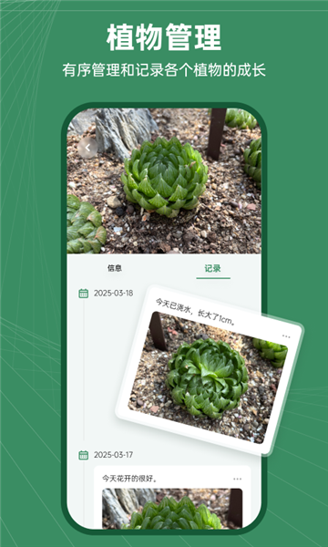 花草志(4)