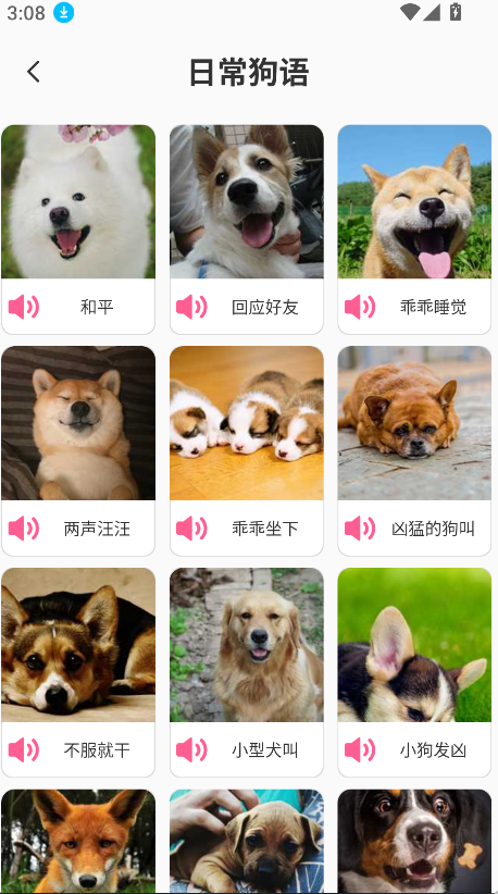 狗语翻译工具(4)