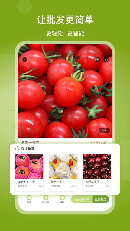 线上南环桥(1)