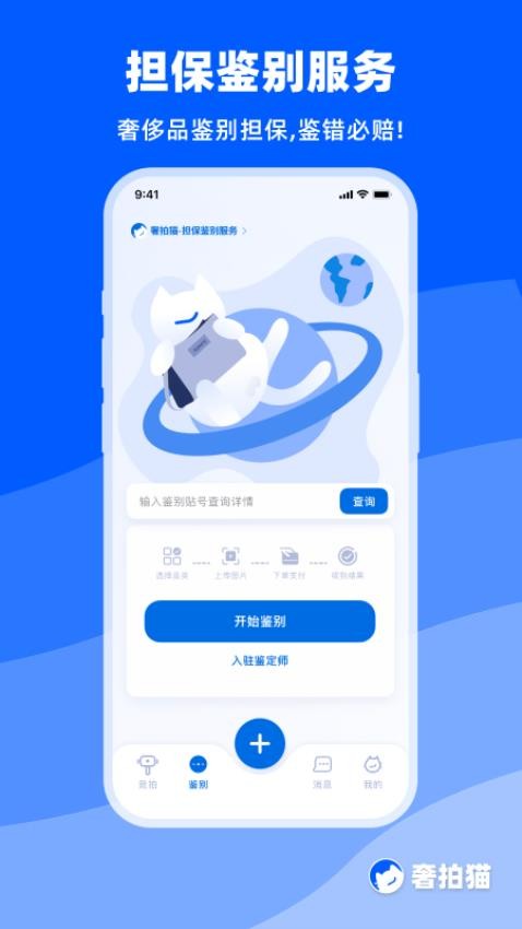 奢拍猫(2)